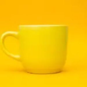 Meet your Posher, Ava